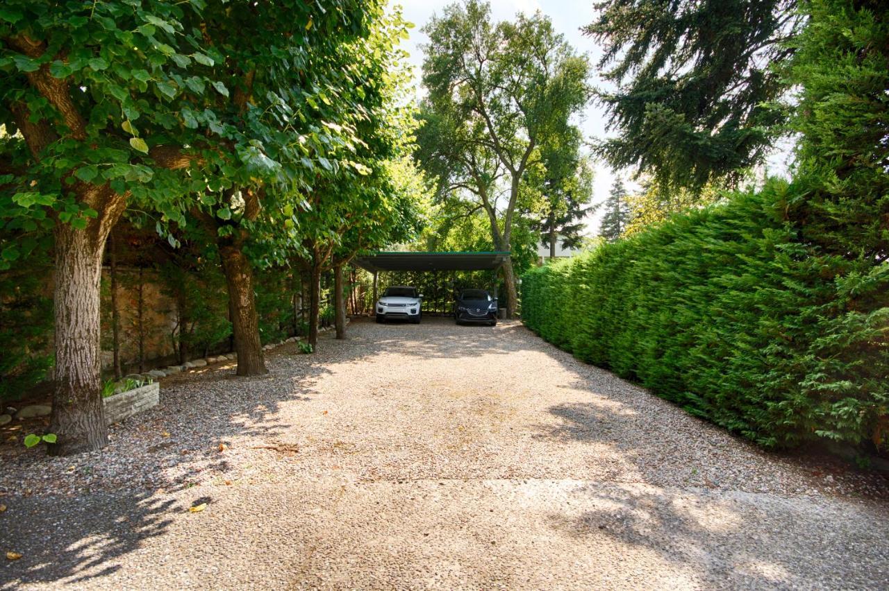 El Porxo B&B Жерона Екстер'єр фото
